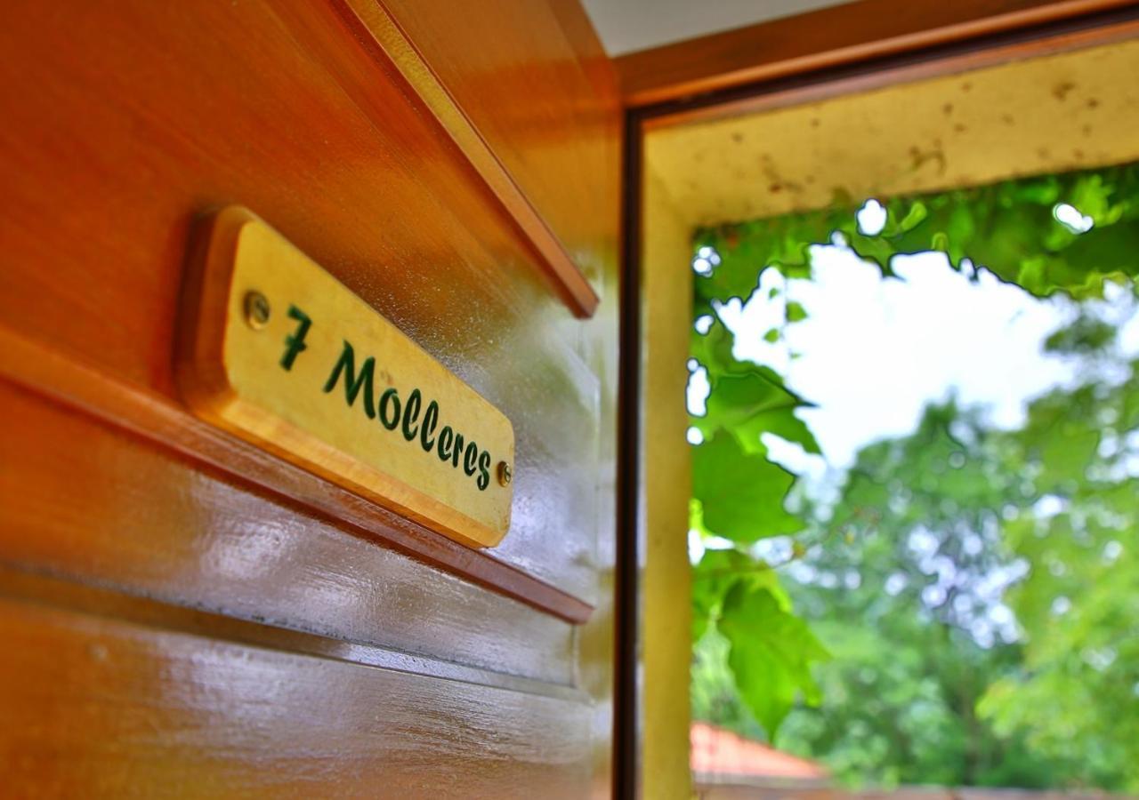 Beau Vallon - Gite Et Chambres D'Hotes Pyrenees-Mediterranee - Pays Catalan Sahorre 외부 사진